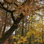 DSC_3971.jpg